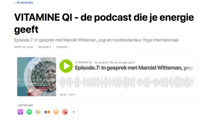 Vitamine QI podcast Hans Vos interviewt Marciel Witteman