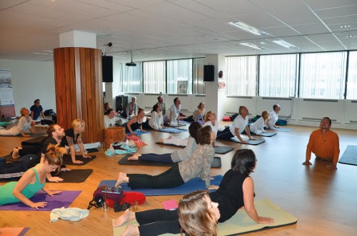 Ayuryoga op Internationale Yoga Dag