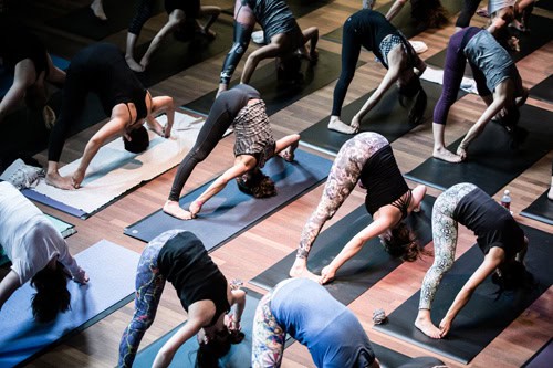 Yogafest Amsterdam: ‘Here is Now’