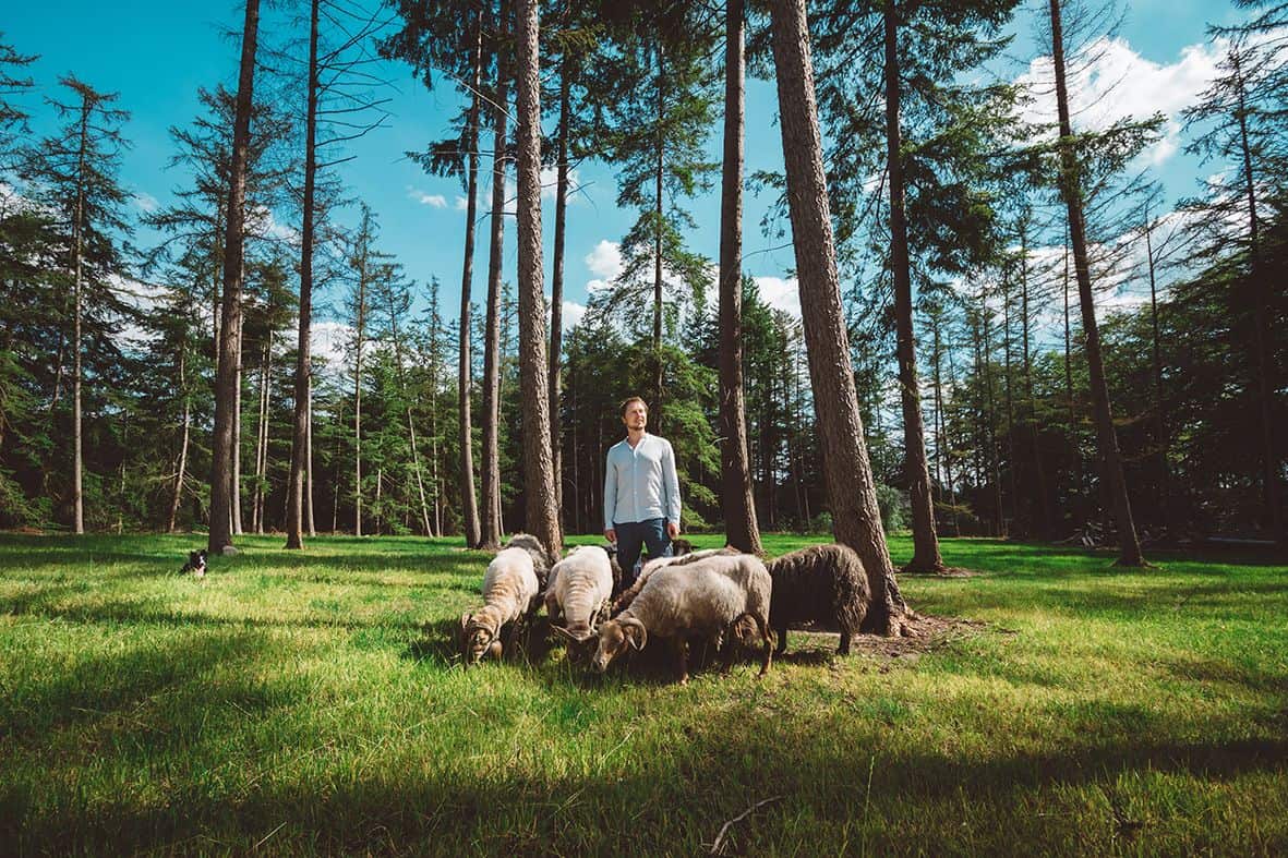 Daniel geeft Schaapfulness: “Mindfulness en de kudde gaan goed samen”