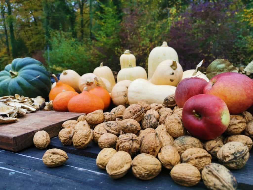 Gezond leven volgens Ayurveda