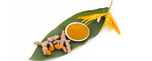 Yoga op ayurvedacentrum Kaldenbroeck