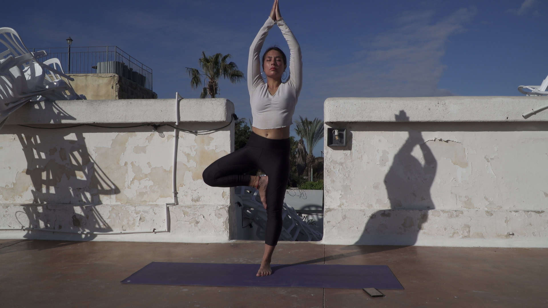 Boomhouding (Vrksasana)