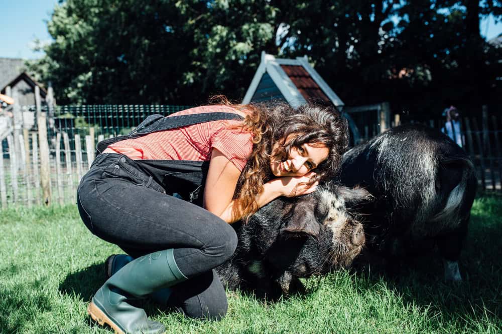 Lisa Stel: ‘Denk aan vegan burgers en brownie taart’