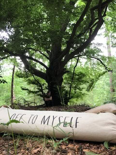 Van houten plank tot yogi