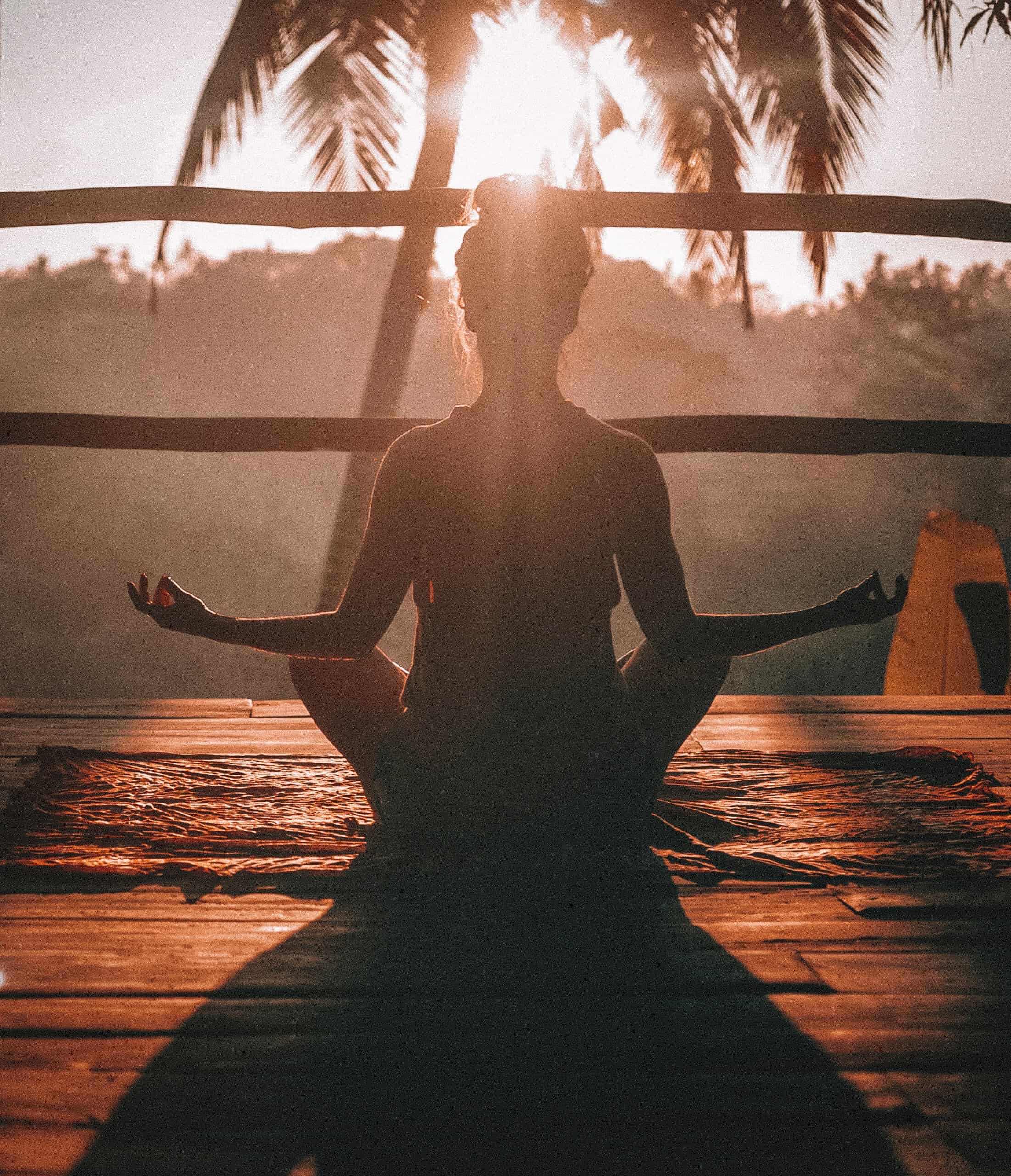 Van houten plank tot yogi: voeding