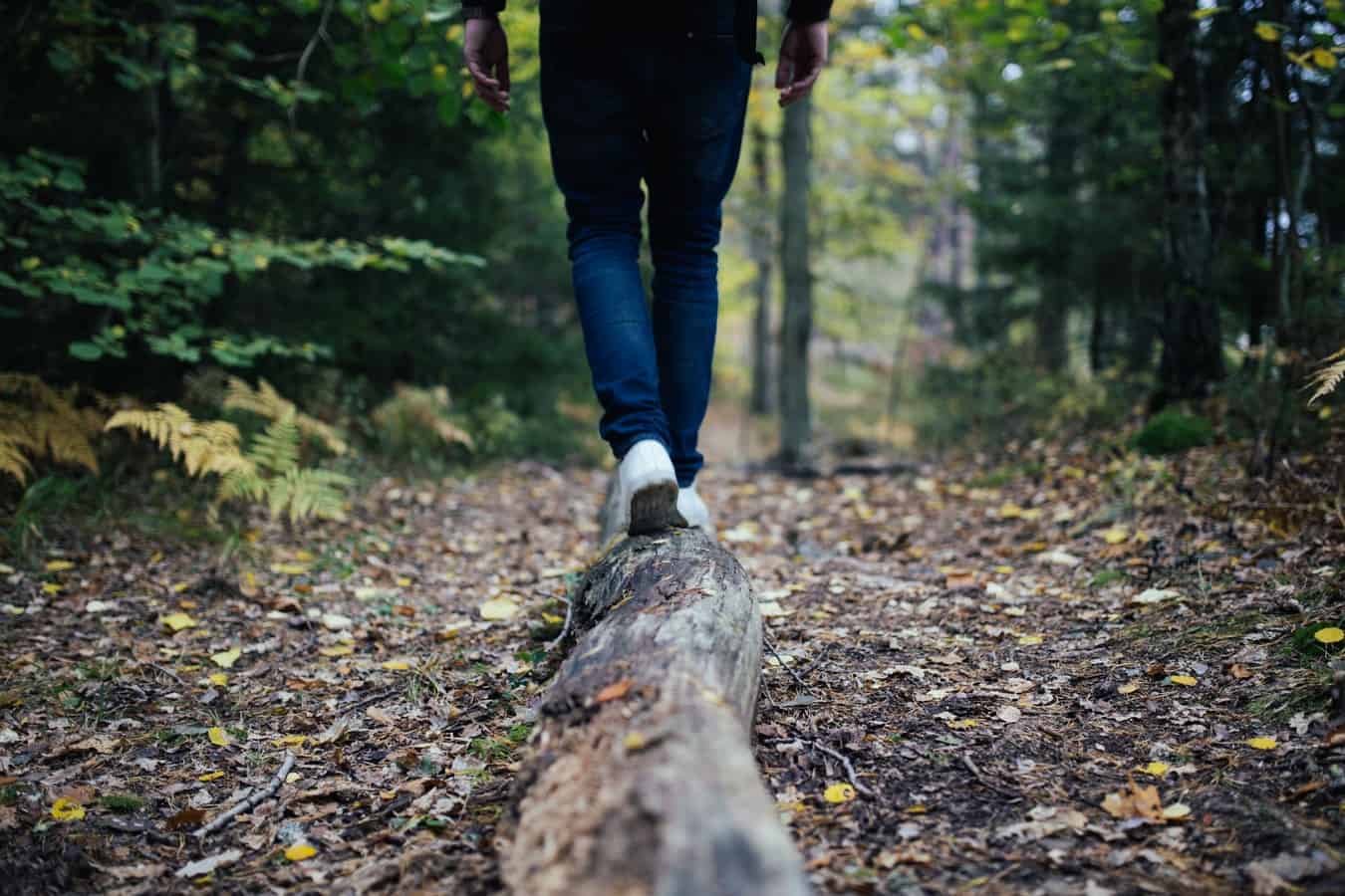 Mindful Walk: Meer dan gewoon wandelen