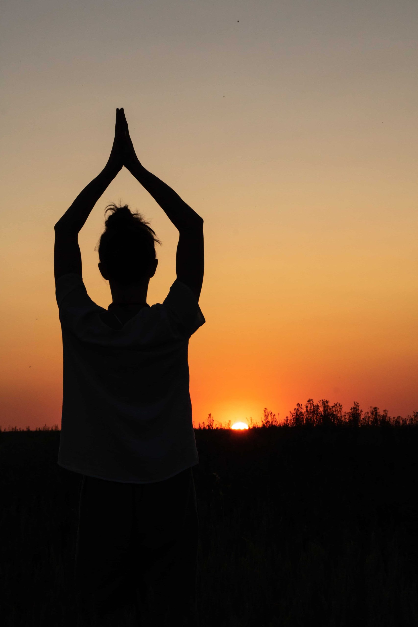 Gratis yogalessen tijdens zonsondergang met spectaculair uitzicht over Rotterdam