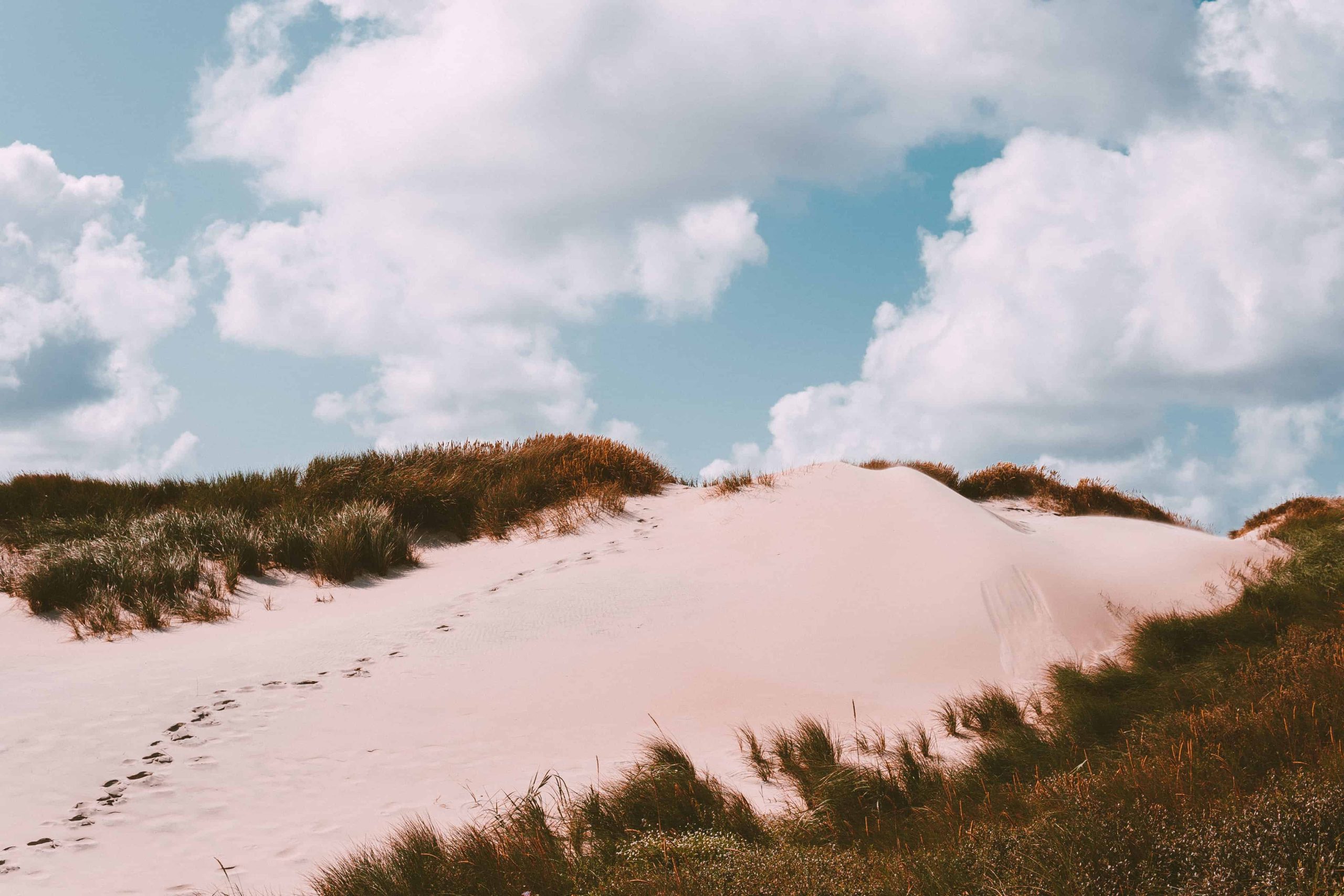 Het strand en de duinen als yogastudio: Josine Olgers organiseert een yogafestival op Schiermonnikoog