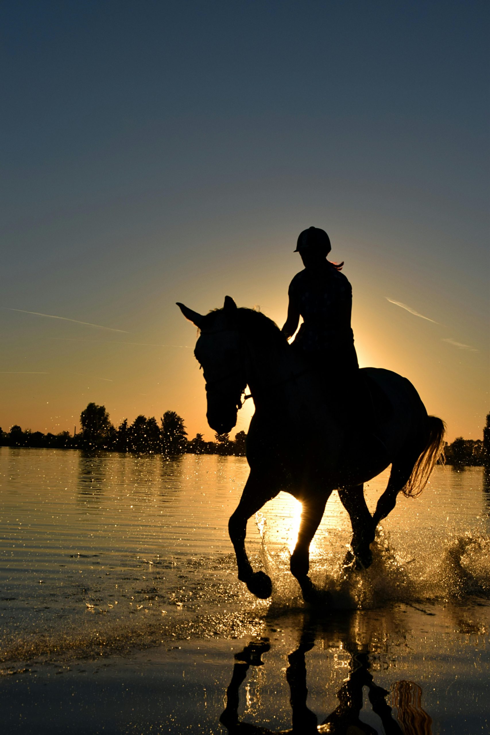Voelen in plaats van denken: dit zijn de voordelen van paardencoaching