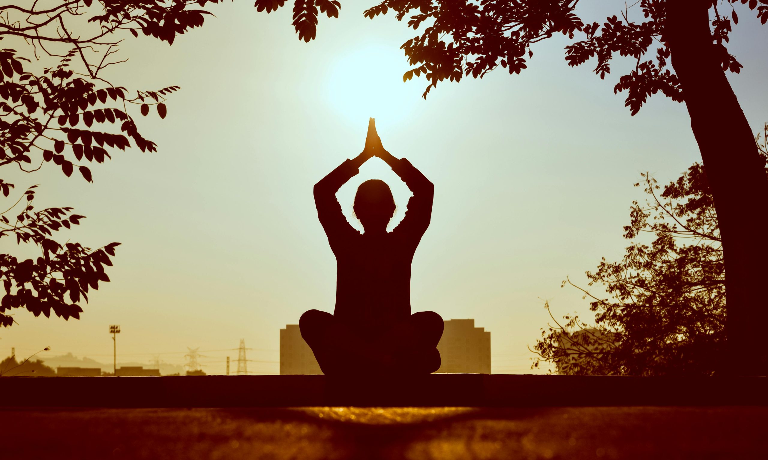 De verborgen kracht van ‘simpele’ yogahoudingen