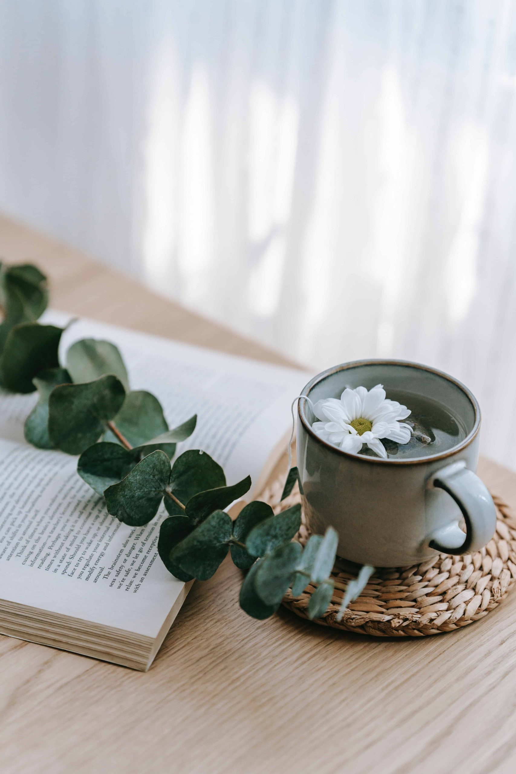 Alles over het voedingssupplement Resveratrol