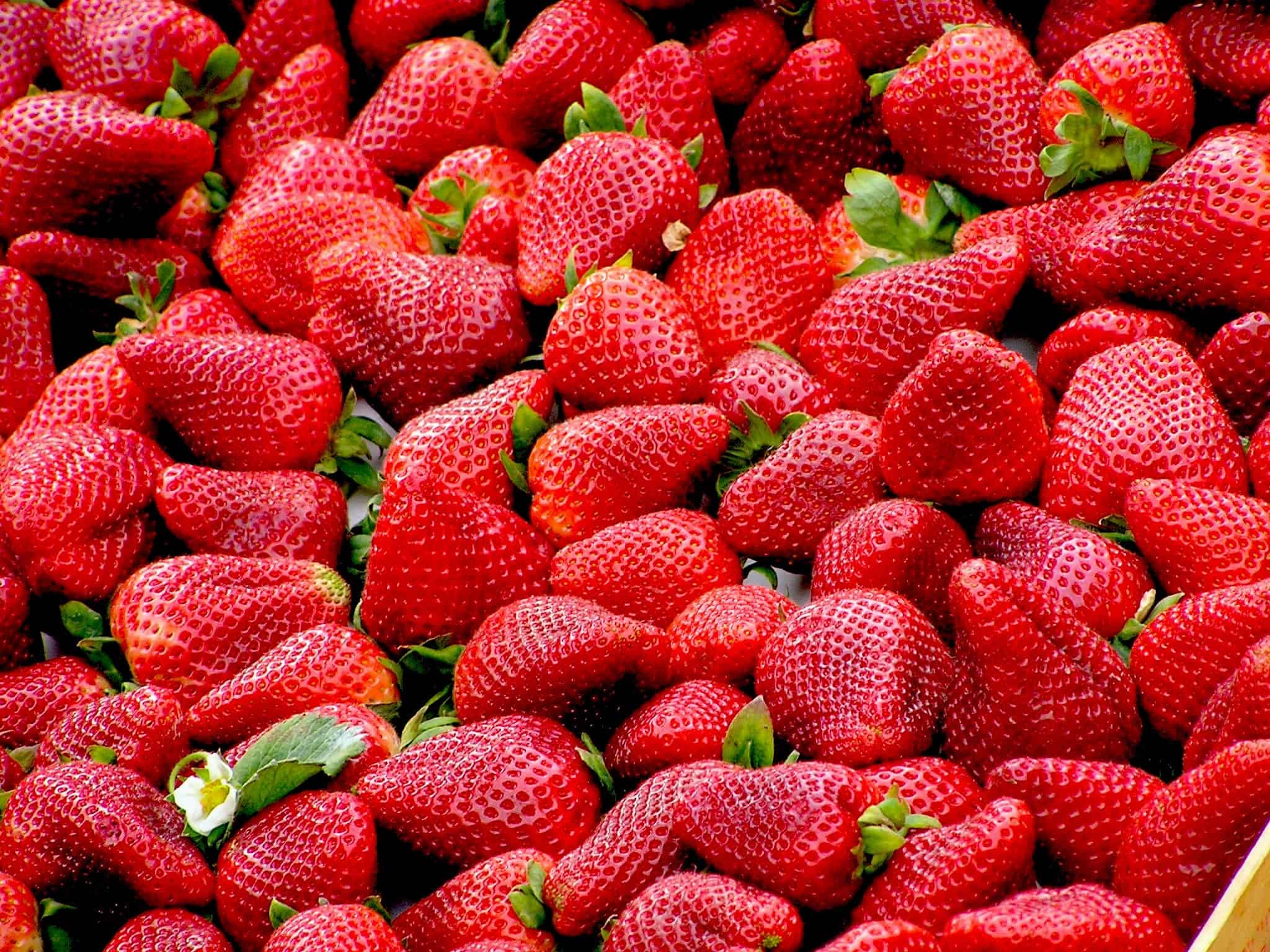 Levenslessen en aardbeien