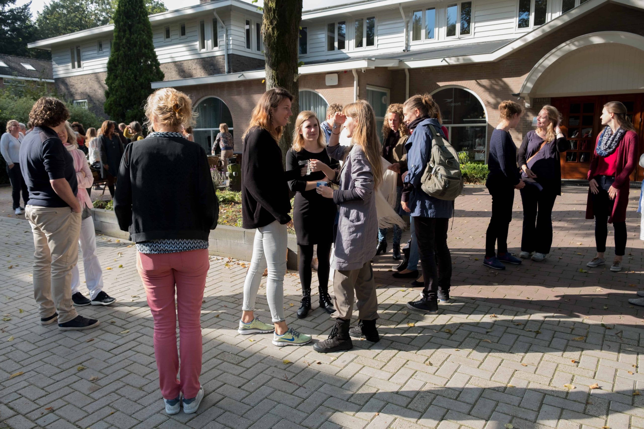 Energie & Bewustzijnsontwikkeling door School of Life
