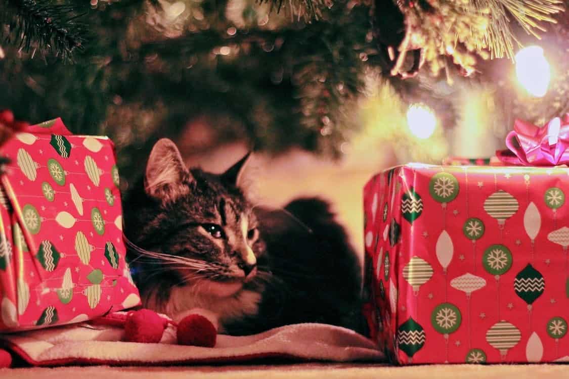 4 cadeautips voor yogi’s